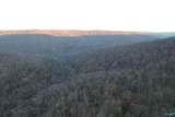 100 AC Dry Creek Road - Photo 5