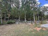 3117 Haver Hill Lane - Photo 4