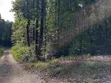 4.18 acres Paula Reed Road - Photo 10