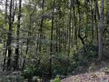 4.18 acres Paula Reed Road - Photo 12