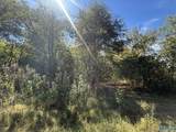 29 Iris Lane - Photo 5