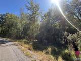 29 Iris Lane - Photo 6