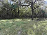 21 ac Old Larkinsville Road - Photo 22