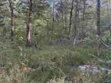 21 ac Old Larkinsville Road - Photo 28
