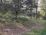 21 ac Old Larkinsville Road - Photo 31