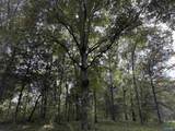 21 ac Old Larkinsville Road - Photo 32