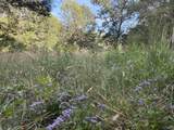 21 ac Old Larkinsville Road - Photo 37