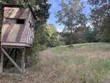 21 ac Old Larkinsville Road - Photo 39