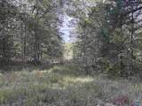 21 ac Old Larkinsville Road - Photo 42