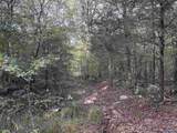 21 ac Old Larkinsville Road - Photo 43