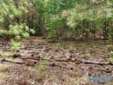 640 Blowing Cave Road - Photo 3