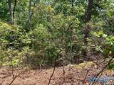 640 Blowing Cave Road - Photo 6