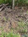 640 Blowing Cave Road - Photo 7