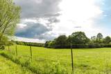 602 Highway 231 - Photo 25