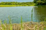 602 Highway 231 - Photo 33