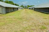 602 Highway 231 - Photo 38