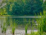 602 Highway 231 - Photo 48