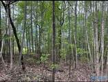 3.1+/- Brushy Creek Pointe - Photo 1