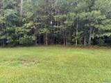 3.1+/- Brushy Creek Pointe - Photo 3