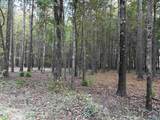 24 County Road 1011 - Photo 4