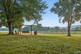 578 Hurricane Creek Road - Photo 4