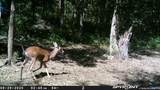 389 Venson Street - Photo 37
