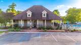 18230 Red Tail Street - Photo 8