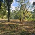 1496 Holiday Shores Road - Photo 12