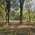 1496 Holiday Shores Road - Photo 13