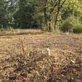 1496 Holiday Shores Road - Photo 17