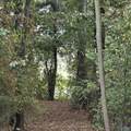 1496 Holiday Shores Road - Photo 20