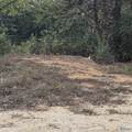 1496 Holiday Shores Road - Photo 6