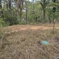 1496 Holiday Shores Road - Photo 7