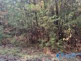Lot 20 Road 903 - Photo 4