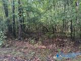 Lot 19 Road 903 - Photo 5