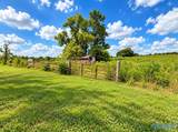 602 Hershell Jones Road - Photo 7