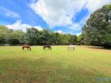 684 Mardis Point Road - Photo 2