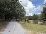 684 Mardis Point Road - Photo 3