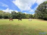 684 Mardis Point Road - Photo 46