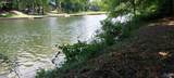 Lot 6 County Road 137 - Photo 2