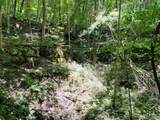 87 ac Martin Avenue - Photo 8