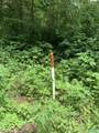 159 Blowing Cave Road - Photo 24