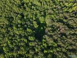 30 acres County Road 261 - Photo 5