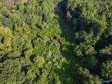 30 acres County Road 261 - Photo 9
