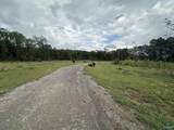 10051 Highway 431 - Photo 2