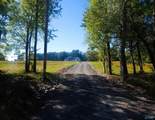 lot 5 Lost Pond Road - Photo 5