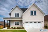 393 Anna Dora Way - Photo 1