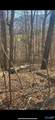 5 Acres Hurricane Road - Photo 5