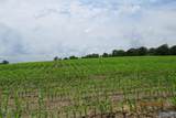 18.56 Acres New Clear Creek Road - Photo 4