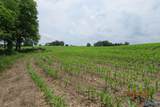 18.56 Acres New Clear Creek Road - Photo 5